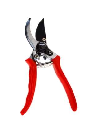 kitchen shears