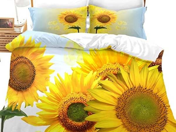 Why Sunflower is Called a Cheerful And Happy Flower
