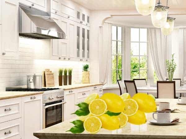 Lemon Kitchen Window Curtains