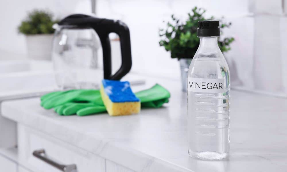 How To Clean A Tea Kettle With Vinegar
