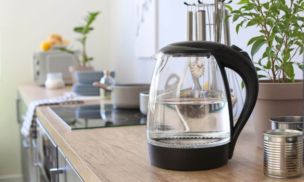 How To Clean Hamilton Beach Electric Kettle